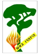 תמרור 635